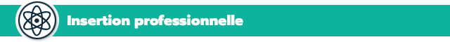 Insertion professionnelle