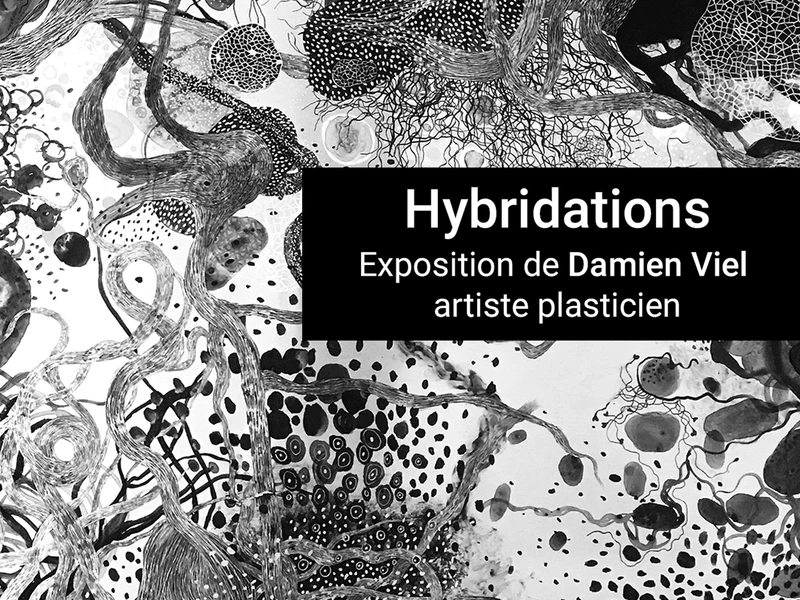 hybridations