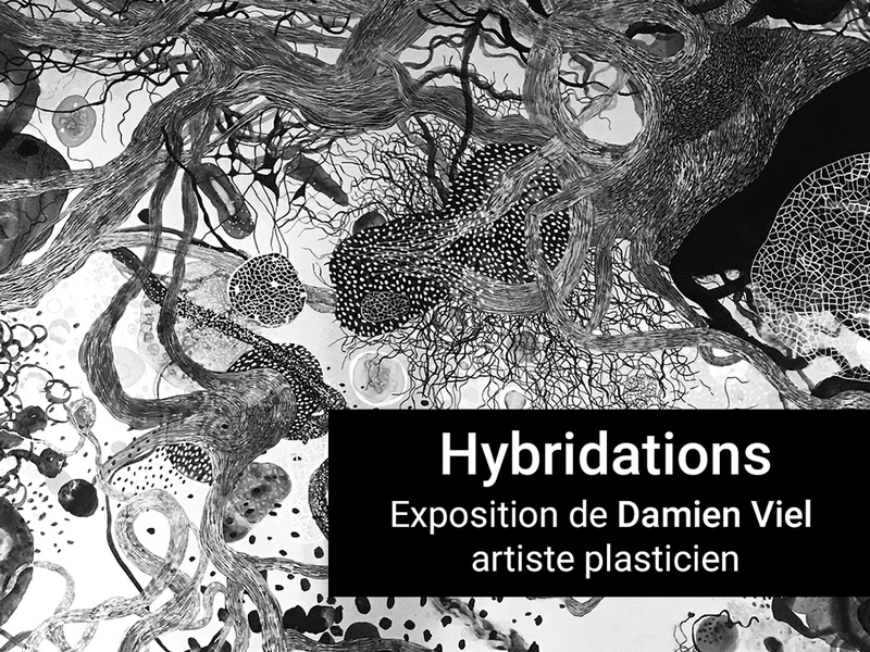hybridations