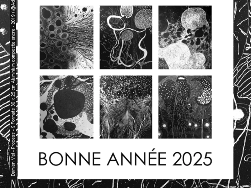 Bonne année 2025