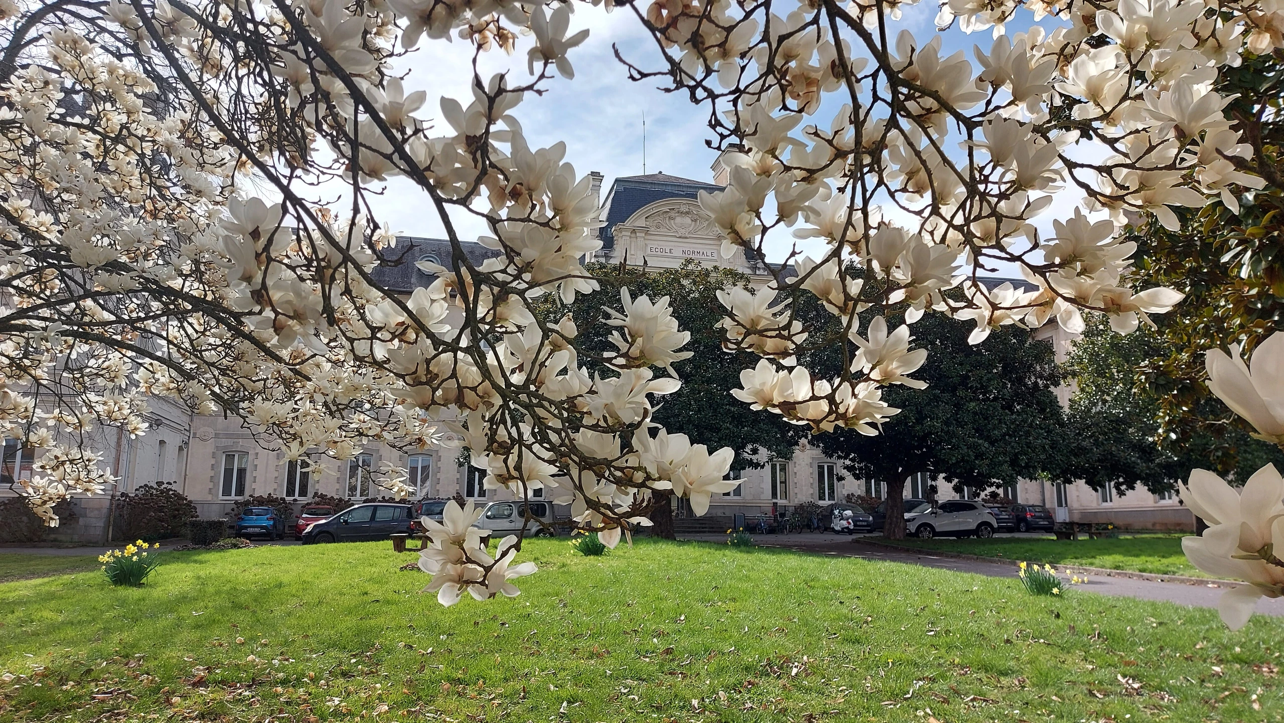 Le printemps