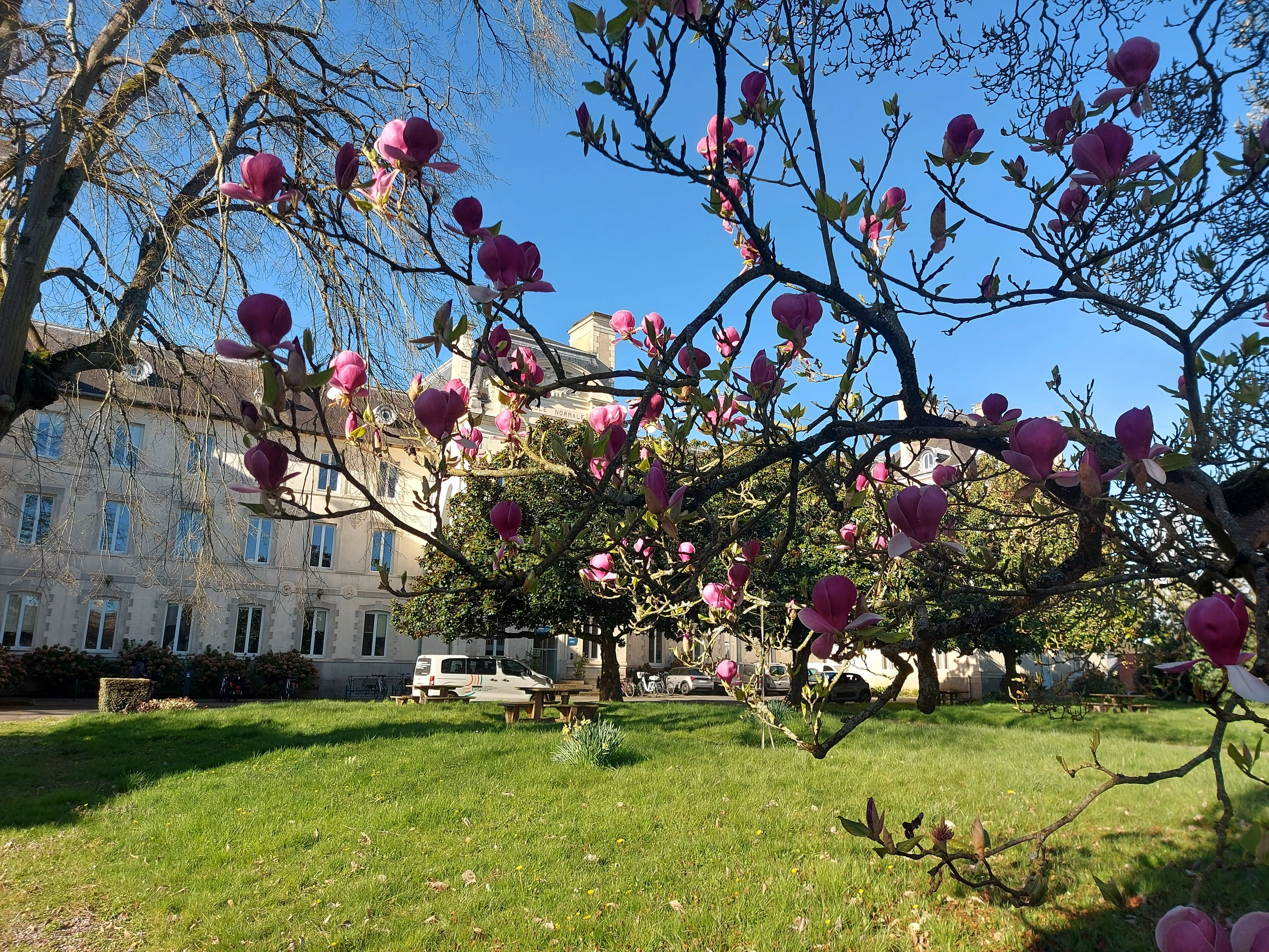 Le printemps 2025
