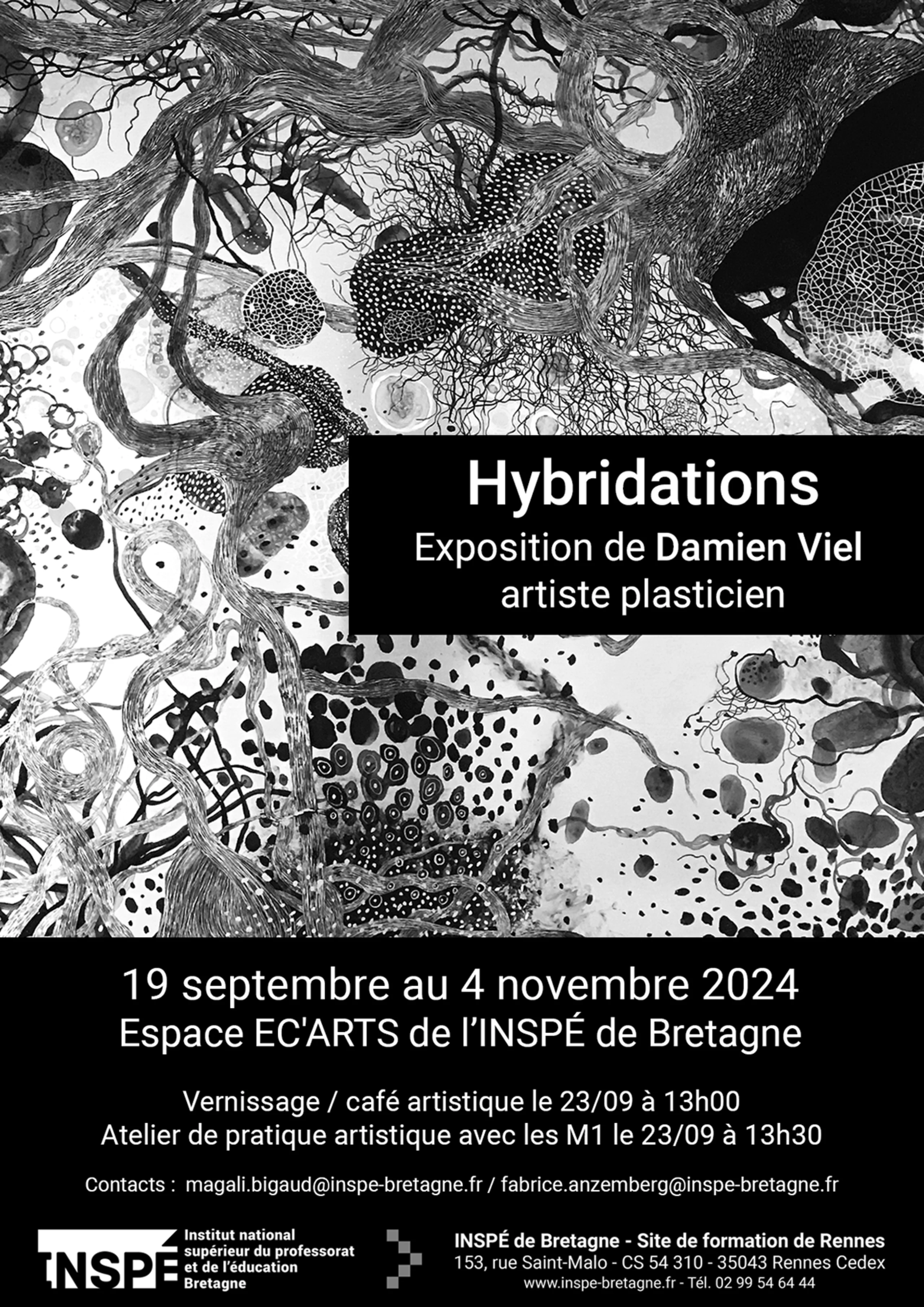 hybridations